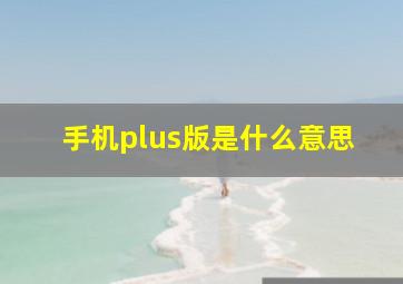 手机plus版是什么意思