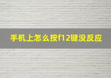 手机上怎么按f12键没反应