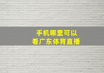 手机哪里可以看广东体育直播