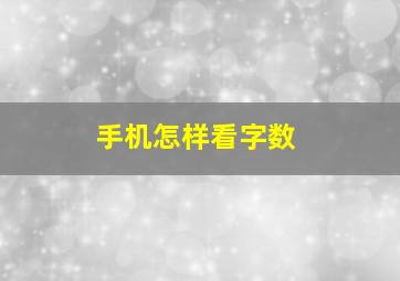 手机怎样看字数