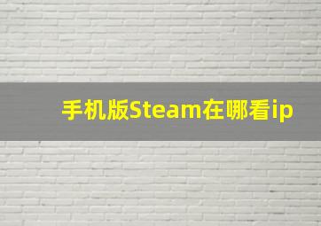 手机版Steam在哪看ip