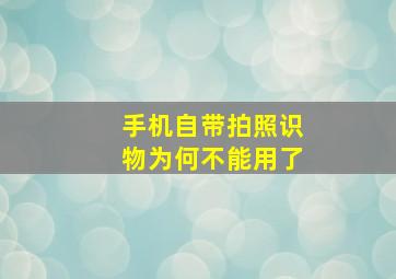 手机自带拍照识物为何不能用了