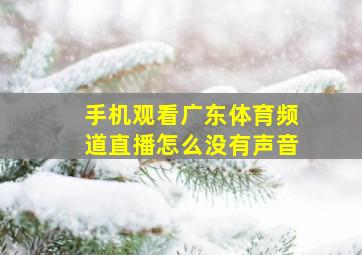 手机观看广东体育频道直播怎么没有声音