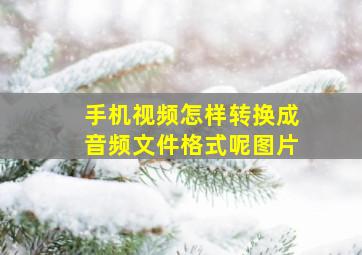 手机视频怎样转换成音频文件格式呢图片