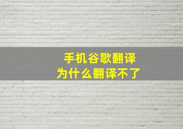 手机谷歌翻译为什么翻译不了