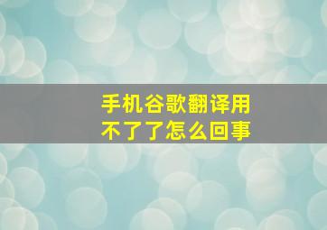 手机谷歌翻译用不了了怎么回事