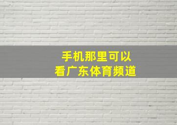 手机那里可以看广东体育频道