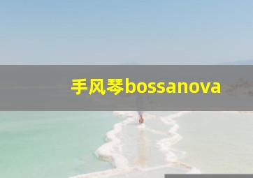 手风琴bossanova