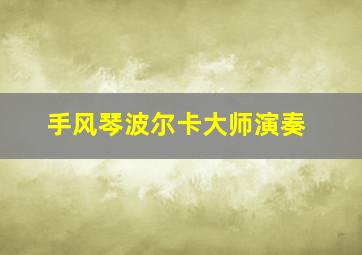 手风琴波尔卡大师演奏