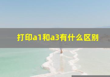 打印a1和a3有什么区别