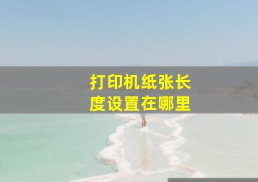 打印机纸张长度设置在哪里