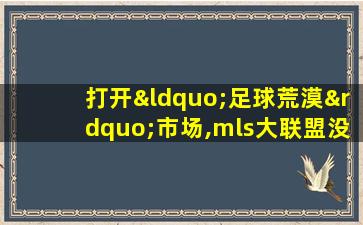 打开“足球荒漠”市场,mls大联盟没有停下扩张的脚步