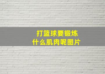 打篮球要锻炼什么肌肉呢图片