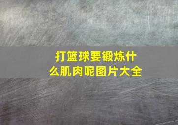 打篮球要锻炼什么肌肉呢图片大全