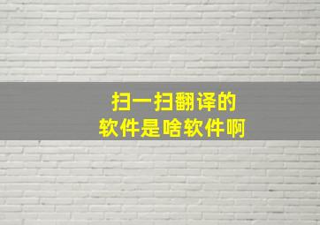 扫一扫翻译的软件是啥软件啊