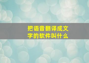 把语音翻译成文字的软件叫什么