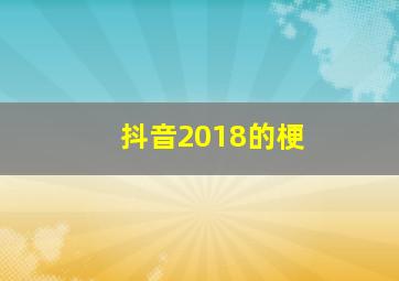 抖音2018的梗