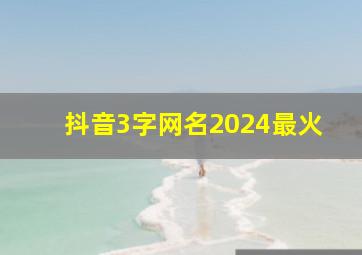 抖音3字网名2024最火