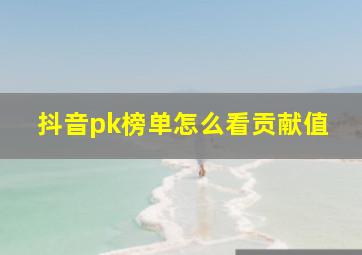 抖音pk榜单怎么看贡献值