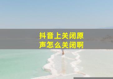 抖音上关闭原声怎么关闭啊