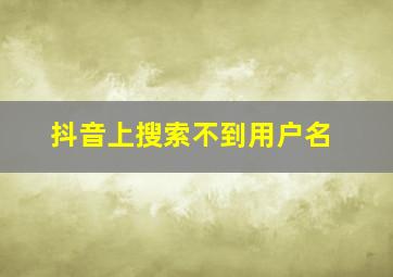 抖音上搜索不到用户名