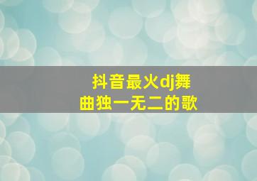 抖音最火dj舞曲独一无二的歌