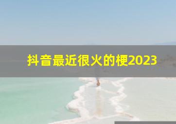 抖音最近很火的梗2023