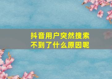 抖音用户突然搜索不到了什么原因呢