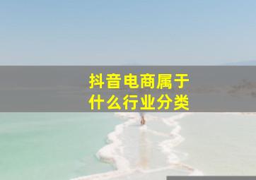 抖音电商属于什么行业分类