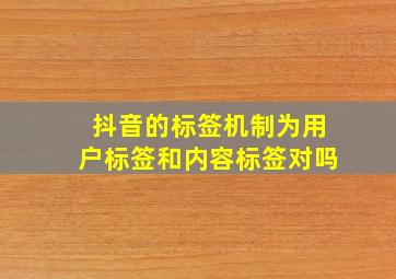 抖音的标签机制为用户标签和内容标签对吗