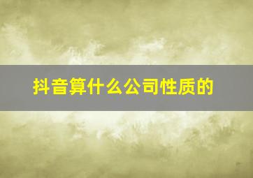 抖音算什么公司性质的