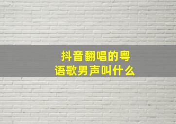 抖音翻唱的粤语歌男声叫什么