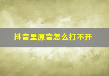 抖音里原音怎么打不开