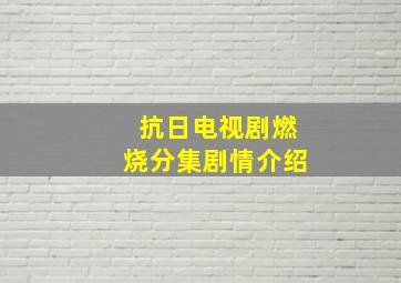 抗日电视剧燃烧分集剧情介绍