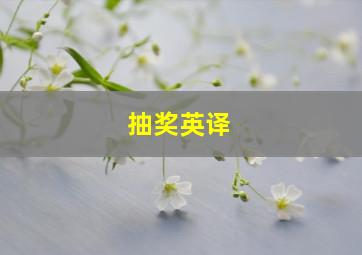 抽奖英译