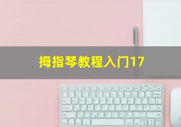 拇指琴教程入门17