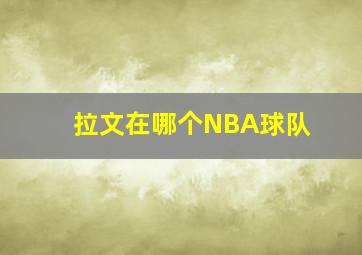 拉文在哪个NBA球队