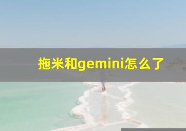 拖米和gemini怎么了