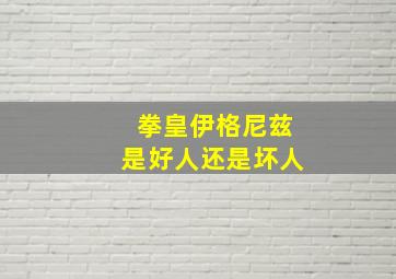 拳皇伊格尼兹是好人还是坏人