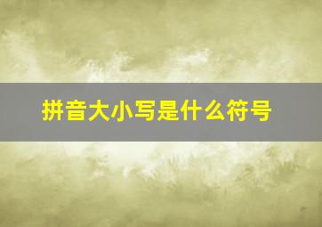 拼音大小写是什么符号