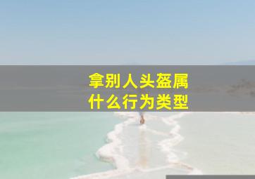 拿别人头盔属什么行为类型