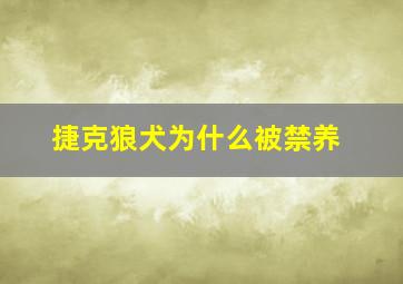 捷克狼犬为什么被禁养