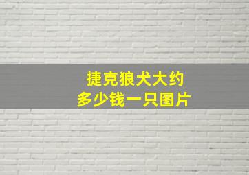 捷克狼犬大约多少钱一只图片