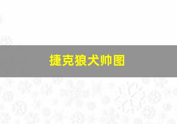 捷克狼犬帅图