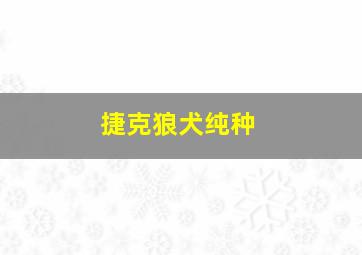 捷克狼犬纯种