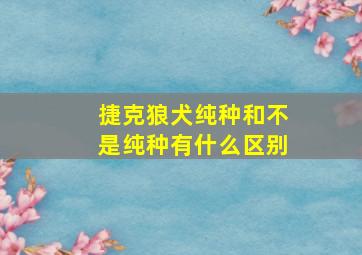 捷克狼犬纯种和不是纯种有什么区别