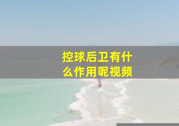 控球后卫有什么作用呢视频