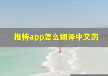 推特app怎么翻译中文的