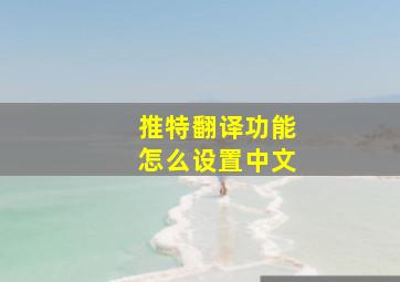 推特翻译功能怎么设置中文