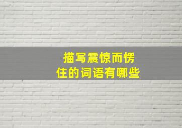 描写震惊而愣住的词语有哪些